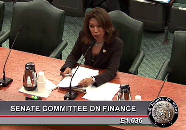 Matson presents funding priorities before senate committee on finance
