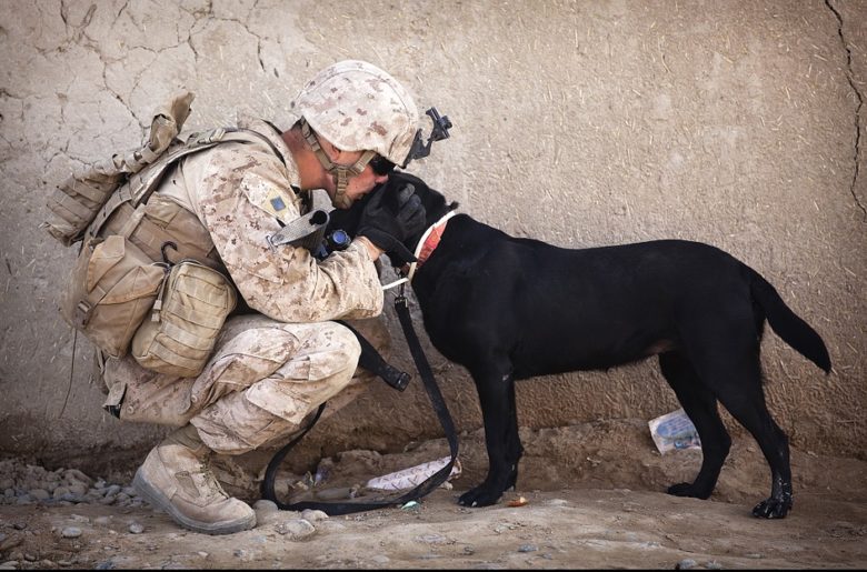 Embracing Veterans: A work in progress