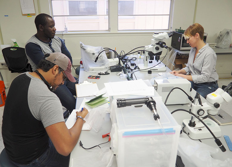 Dr. Megan Wise de Valdez, provides a variation of research techniques and guidance for lab technicians, Oluwaseun Aloba and Joel Obregon. Photo by Cindy Castellanos
